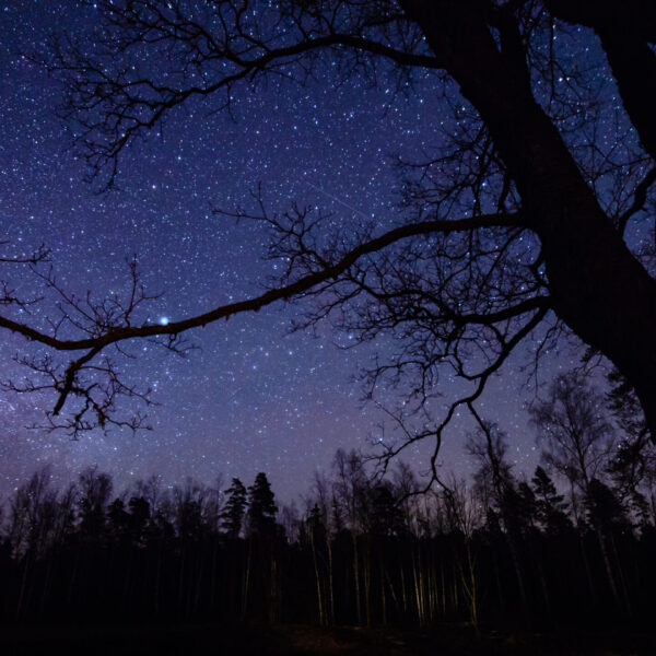 Suzanne's Band Ice & Fire Single #5 - Night Blues